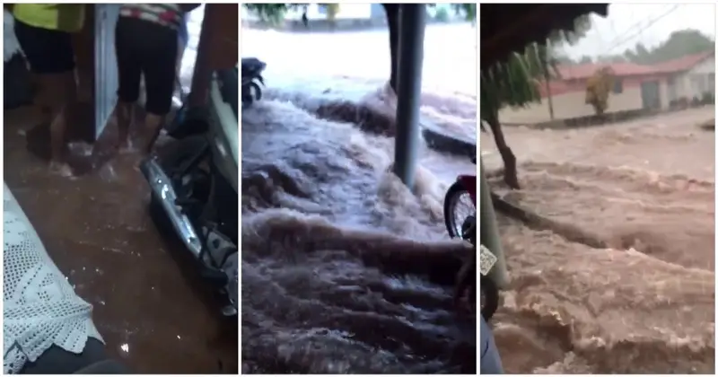 Casas Ficam Alagadas Durante Pancadas De Chuva Na Cidade De Em Pedro Ii