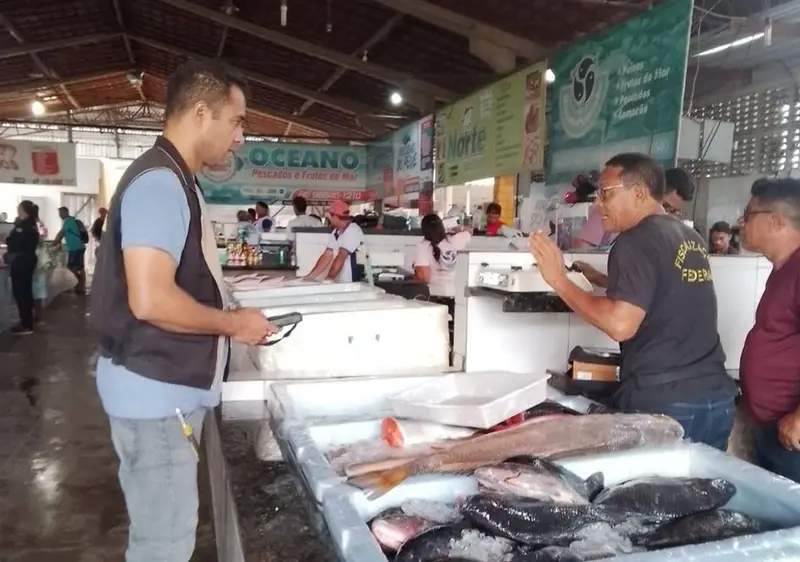 Imepi Realiza Fiscaliza O No Mercado Do Peixe Durante Opera O Em