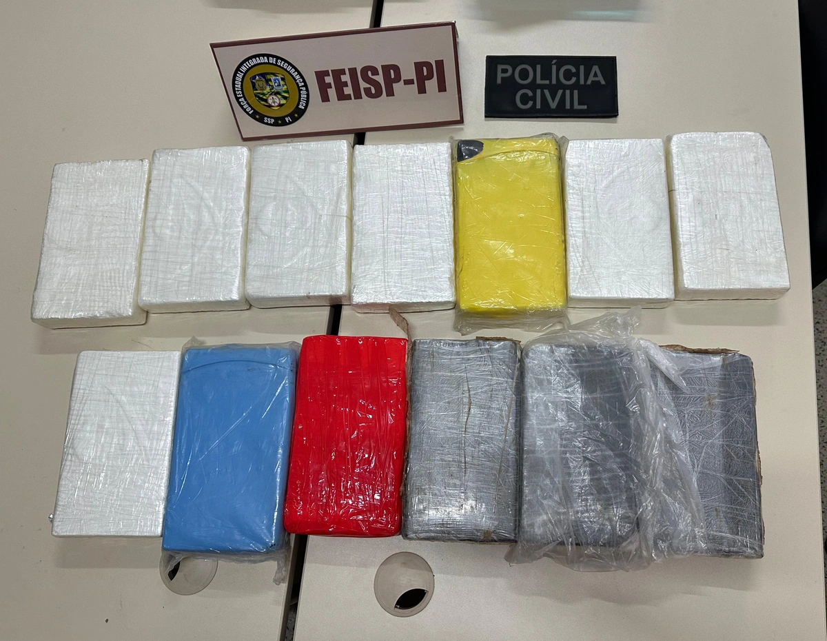 A Polícia Civil do Piauí prende caminhoneiro com 13 Kg de cocaína