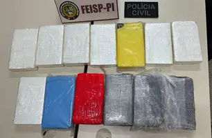 A Polícia Civil do Piauí prende caminhoneiro com 13 Kg de cocaína (Foto: Reprodução)