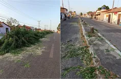 Prefeitura corta árvores da cidade e caso vira polêmica no Norte do Piauí
