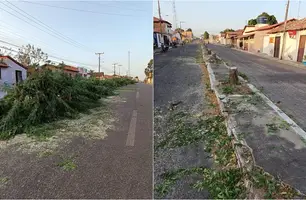 Árvores cortadas a mando da Prefeitura de Buriti dos Lopes (Foto: Reprodução)