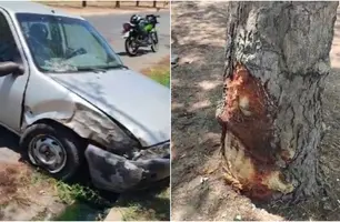 Carro colide com árvore e derrapa até outro lado da pista (Foto: Reprodução)
