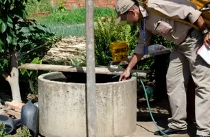 Casos de dengue aumentam em Teresina e FMS não cumpre ciclos de combate (Foto: FMS)