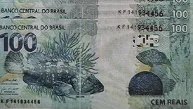 Dinheiro falso apreendido (Foto: Reprodução)