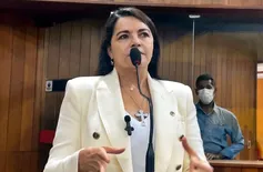 ‘Estão trocando alho com bugalhos’, diz Teresa Britto sobre reunião com governador