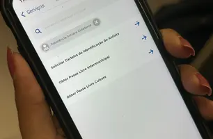 Gov.pi Cidadão (Foto: Reprodução)