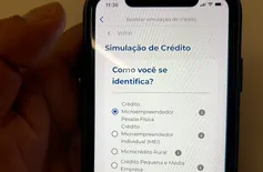 Gov.pi Cidadão: veja como fazer simulação de crédito para empreendedores