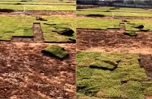 Grama destruída em estádio (Foto: Reprodução)