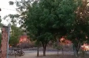 Incêndio atinge povoado Santa Luz (Foto: Reprodução)