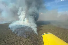 Incêndio que atingiu Parque Nacional Serra das Confusões é extinto