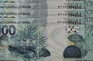 PF prende homem pelo crime de moeda falsa em Teresina (Foto: Reprodução)