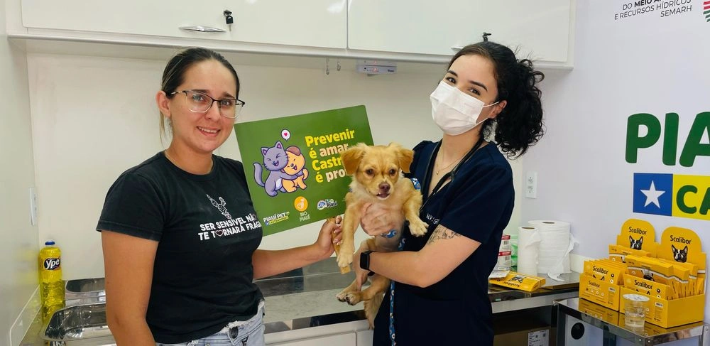 Piauí Pet Castramóvel