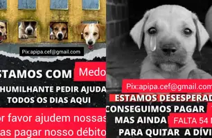 Apipa faz campanha para arrecadar R$ 54 mil para pagar clínica veterinária (Foto: Divulgação)