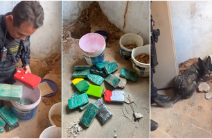 Cadela da polícia localiza drogas enterradas em operação do Draco em Teresina (Foto: Reprodução)