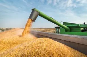 Cidades piauienses do MATOPIBA devem liderar crescimento de produção por dez anos (Foto: Reprodução)