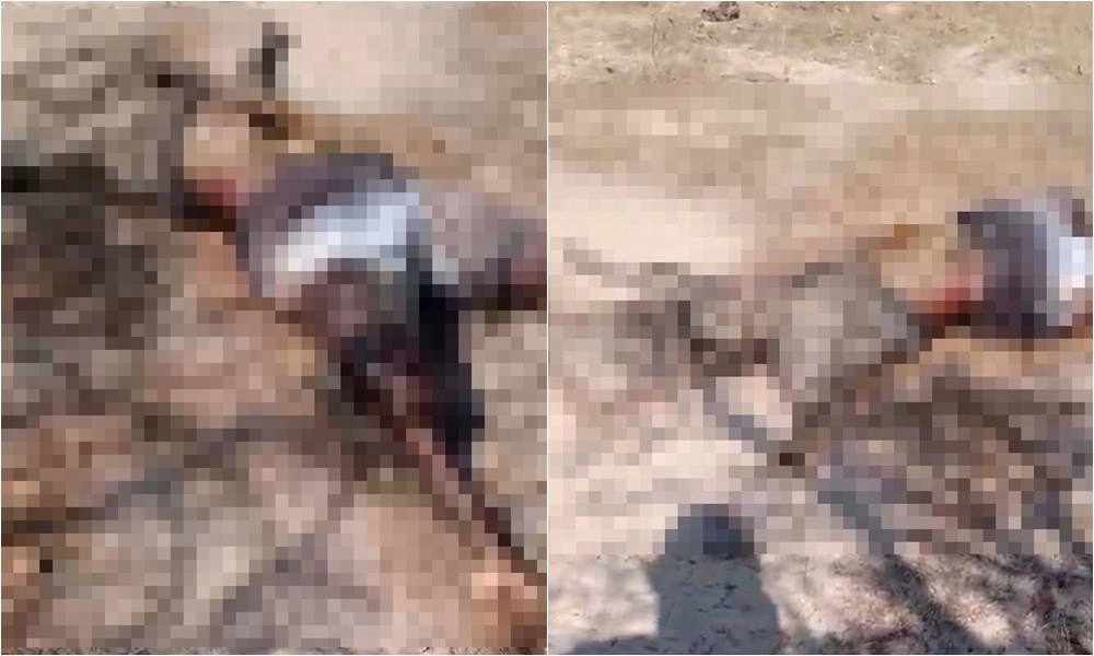 Corpo encontrado em Pedro II