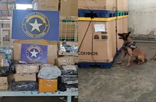 Criminosos utilizavam correios para enviar drogas para o Piauí (Foto: Reprodução)