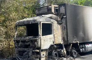 Curto-circuito causa incêndio e destrói cabine de caminhão em BR no Norte do Piauí (Foto: Tiago Moura/Conecta Piauí)