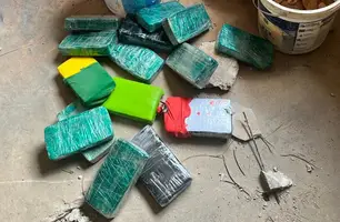 Droga encontrada por cadela policial em Teresina está avaliada em R$ 2,5 milhões (Foto: Reprodução)