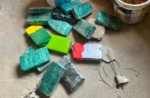 Droga encontrada por cadela policial em Teresina está avaliada em R$ 2,5 milhões (Foto: Reprodução)