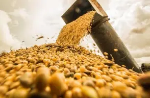 Exportações do Piauí ultrapassaram a marca de R$ 6,8 bilhões no mês de outubro (Foto: Reprodução)