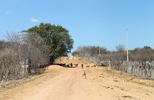 Fenômeno promove aquecimento das temperaturas no país (Foto: Jhone Sousa / Conecta Piauí)