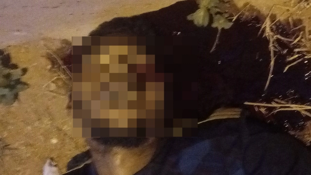 Indivíduo morto por disparos de arma de fogo