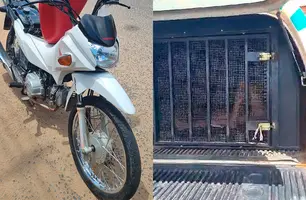 Mulher tenta fugir da polícia e é presa com motocicleta roubada em Teresina (Foto: Reprodução)