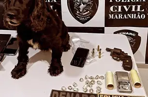 Núcleo de Operação com Cães (NOC) participou da operação (Foto: Reprodução)