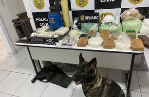 Operação do DENARC resulta na apreensão de 10 kg de entorpecentes (Foto: Divulgação)