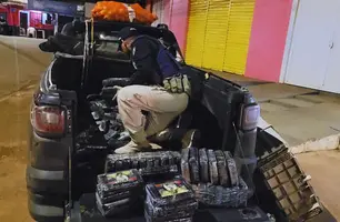 Polícia apreende na BR 226, em Presidente Dutra,166 kg de maconha tipo skunk (Foto: Reprodução)