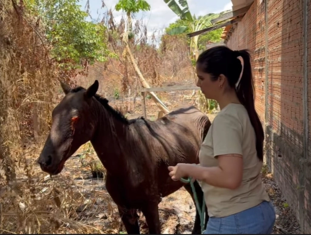 Thanandra Sarapatinhas resgata cavalo que foi queimado vivo em União