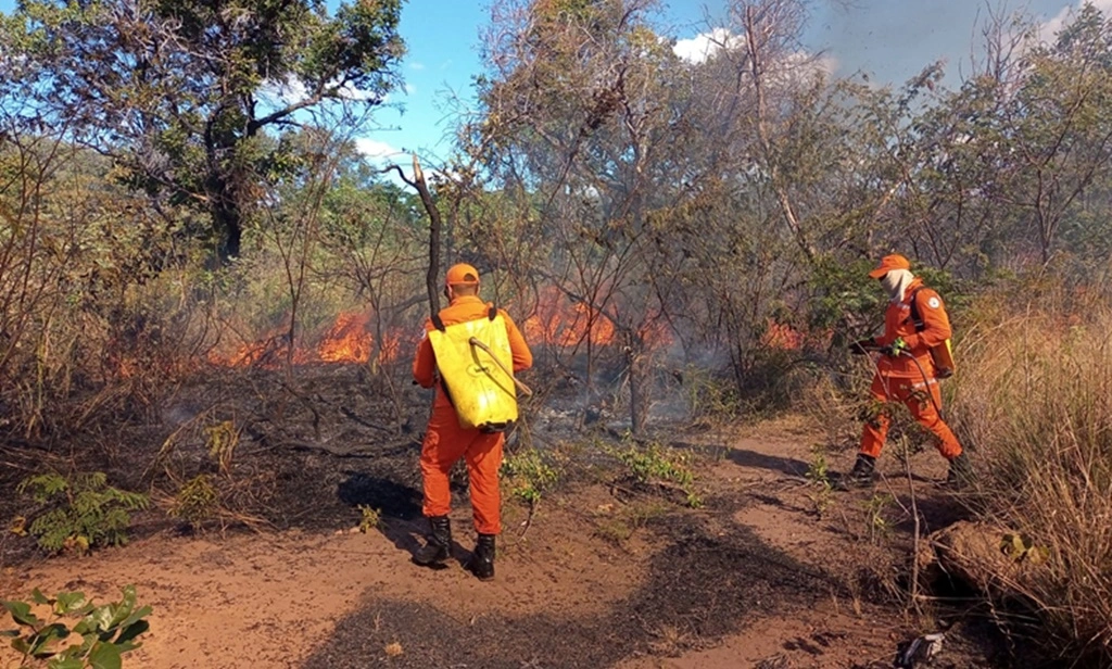 Corpo de Bombeiros registra nove ocorrências de incêndio em 24 horas em Picos