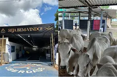 Há cinco anos no mercado, Fazenda Thasso Felipe realiza exposição na Expoapi