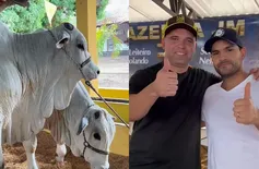 Fazenda Conquista & Nelore IN encerram participação com recordes na Expoapi 2023