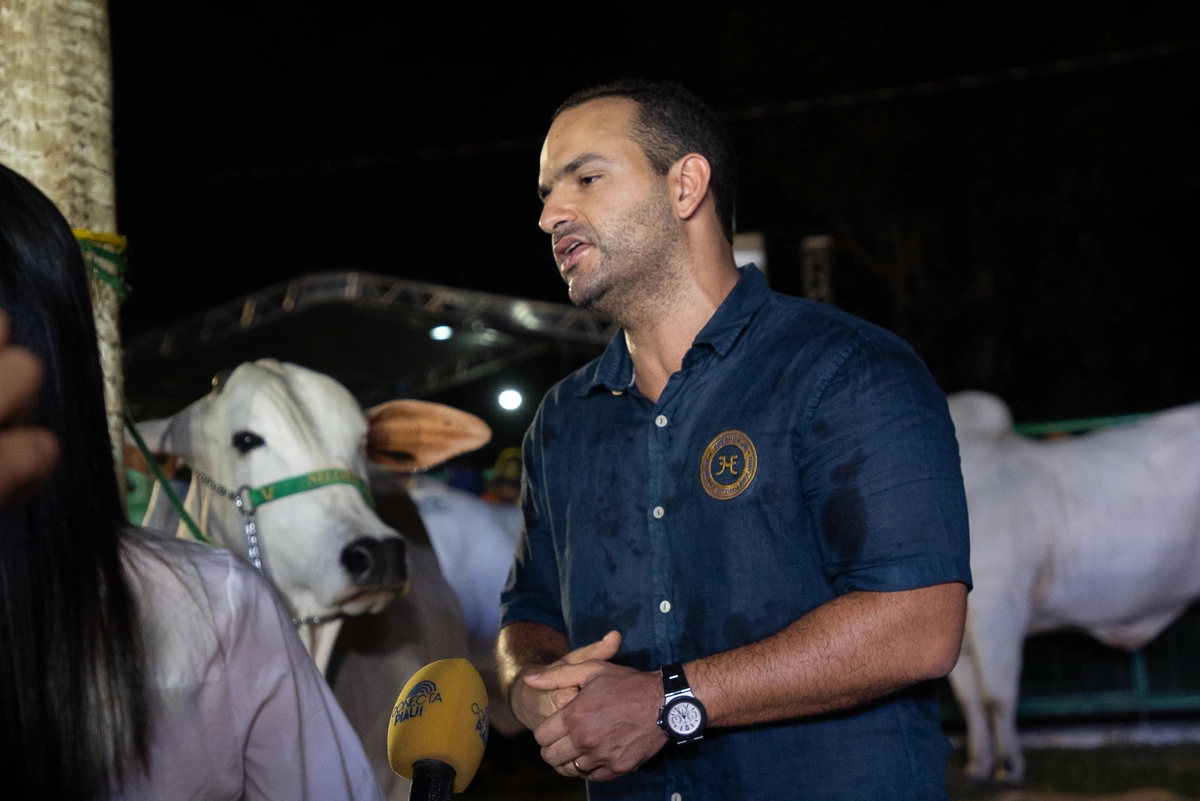 Fazendas firmam sucesso em Leilão Joias da Raça Nelore na Expoapi