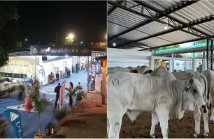 Fazendas Haras Thasso Felipe e do Alto lançam 2º Shopping Nelore Liberdade na Expo (Foto: Reprodução)