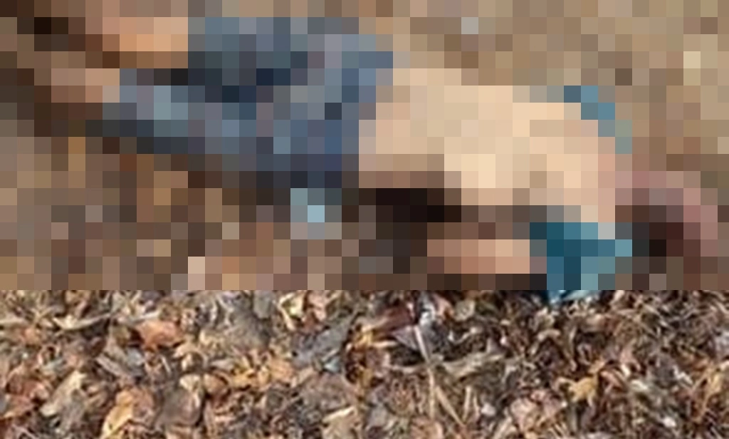 Homem é encontrado morto com perfuração no pescoço em Luís Correia