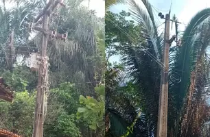 Morador denuncia falta de energia na zona rural de Demerval lobão (Foto: Reprodução)