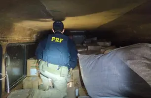 PRF apreende mais de 700 quilos de peixes transportados ilegalmente no Piauí (Foto: Reprodução)