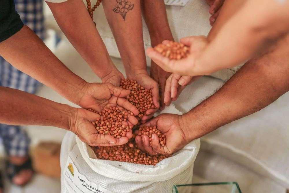 SAF entrega 2,5 toneladas de sementes de milho e feijão para agricultores do Piauí