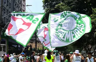 Torcida palmeirense (Foto: Marcos Ribolli)