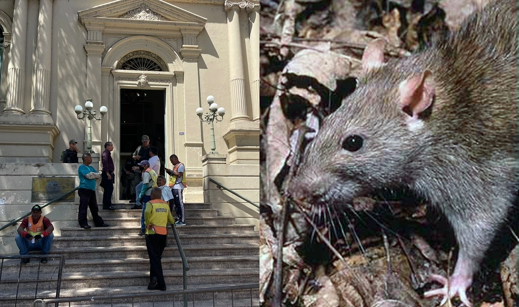 Vereador diz em sessão da Câmara que flagrou 'guabiru' na Prefeitura de Teresina