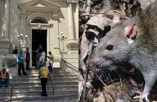 Vereador diz em sessão da Câmara que flagrou 'guabiru' na Prefeitura de Teresina (Foto: Reprodução)
