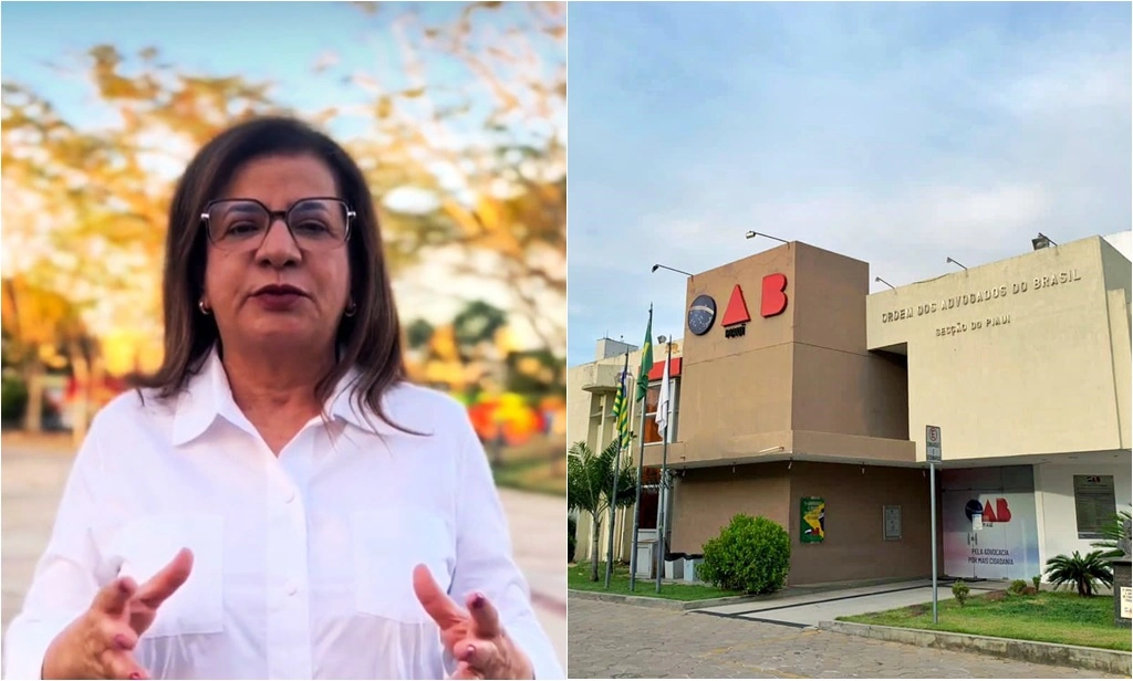 Vereadora Graça Amorim