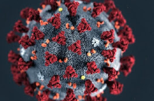 A maioria das pessoas se infecta com os coronavírus comuns ao longo da vida (Foto: Divulgação)