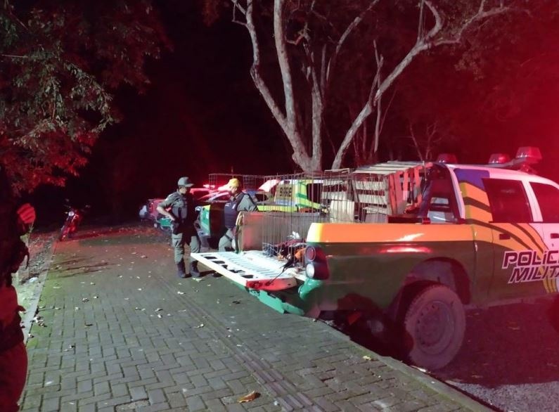 Batalhão de Polícia Ambiental – BPA