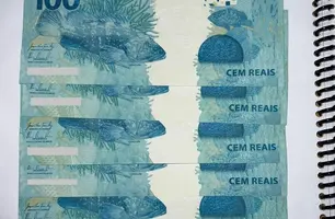 Cédulas falsas (Foto: Divulgação)