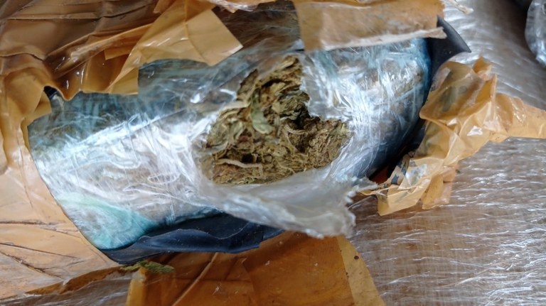 Droga apreendida